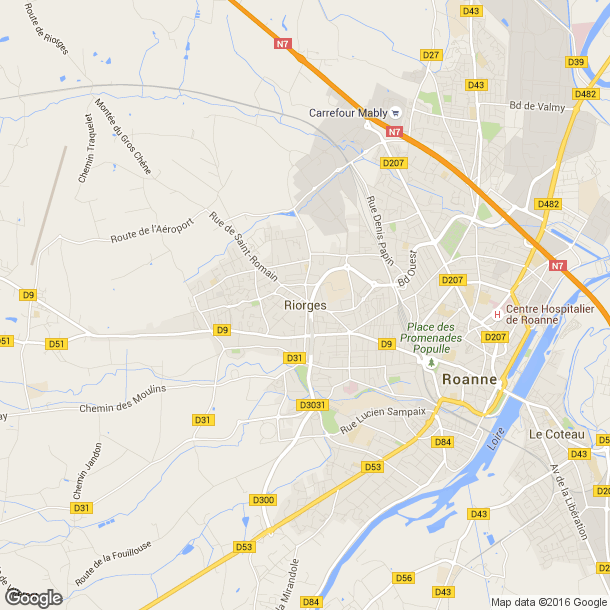 Plan des salles de sport de Riorges